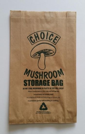 Picture of MUSHROOM BAG CHOICE 170x80x295mm CTN/1000