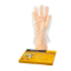 Picture of BASTION GLOVE PE CLEAR LARGE 